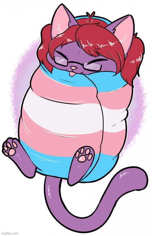 Just a cute purrito xD | image tagged in purrito,lgbt,transgender,furry,memes,cute | made w/ Imgflip meme maker