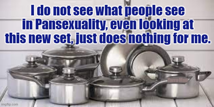 Pansexuality | I do not see what people see in Pansexuality, even looking at this new set, just does nothing for me. Yarra Man | image tagged in pans sexuality | made w/ Imgflip meme maker