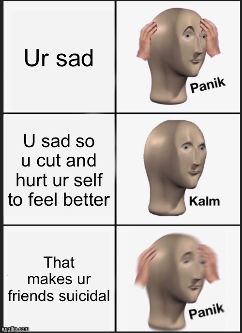 ; - ; | Ur sad; U sad so u cut and hurt ur self to feel better; That makes ur friends suicidal | image tagged in memes,panik kalm panik | made w/ Imgflip meme maker