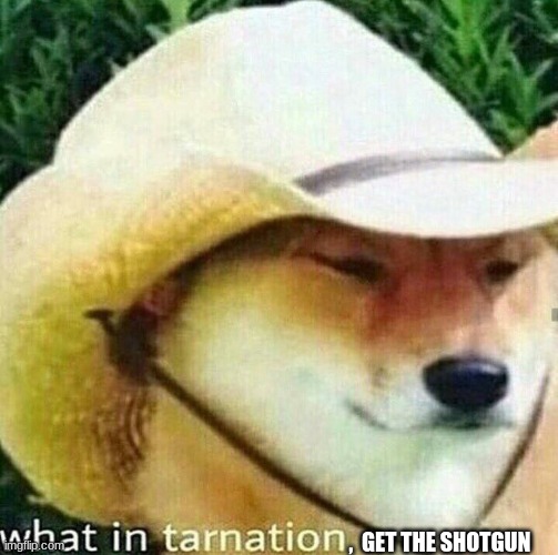 What in tarnation dog | ,  GET THE SHOTGUN | image tagged in what in tarnation dog | made w/ Imgflip meme maker