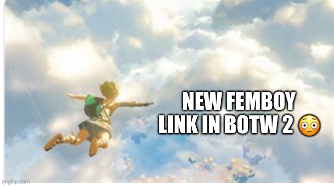 NEW FEMBOY LINK IN BOTW 2 😳 | made w/ Imgflip meme maker