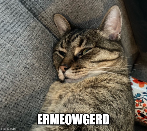 ERMEOWGERD | made w/ Imgflip meme maker