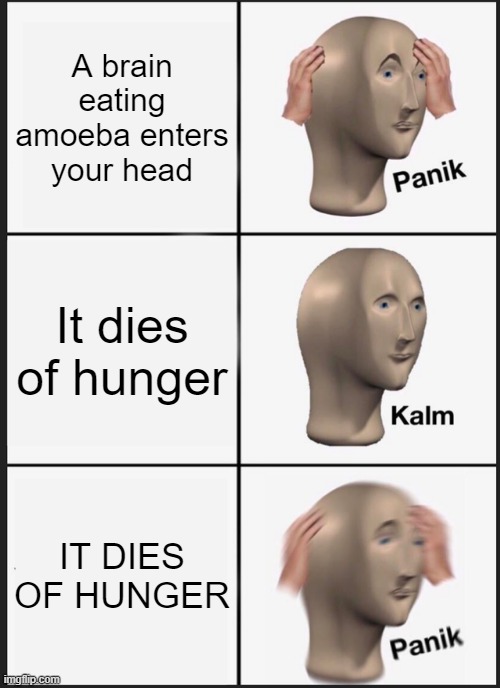 Panik Kalm Panik Meme |  A brain eating amoeba enters your head; It dies of hunger; IT DIES OF HUNGER | image tagged in memes,panik kalm panik | made w/ Imgflip meme maker