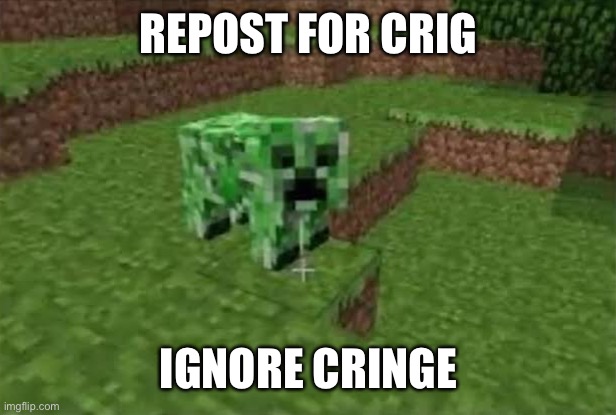 REPOST FOR CRIG; IGNORE CRINGE | made w/ Imgflip meme maker