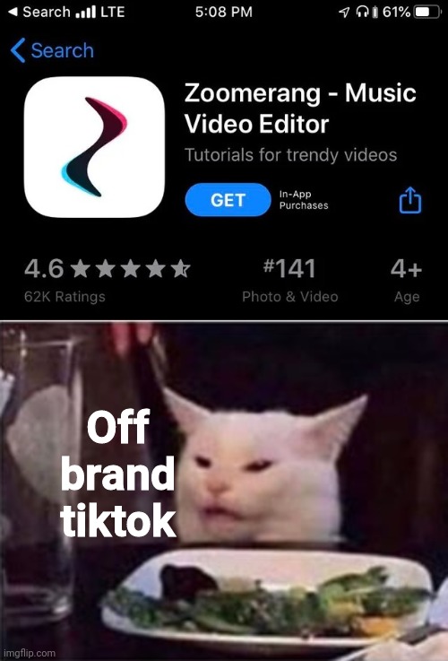r/crappyoffbrands |  Off brand tiktok | image tagged in white dinner table cat,tiktok,ripoff,i don't know,maybe i am a monster,memes | made w/ Imgflip meme maker