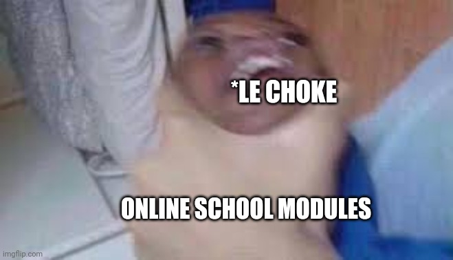 kid getting choked | *LE CHOKE; ONLINE SCHOOL MODULES | image tagged in kid getting choked | made w/ Imgflip meme maker