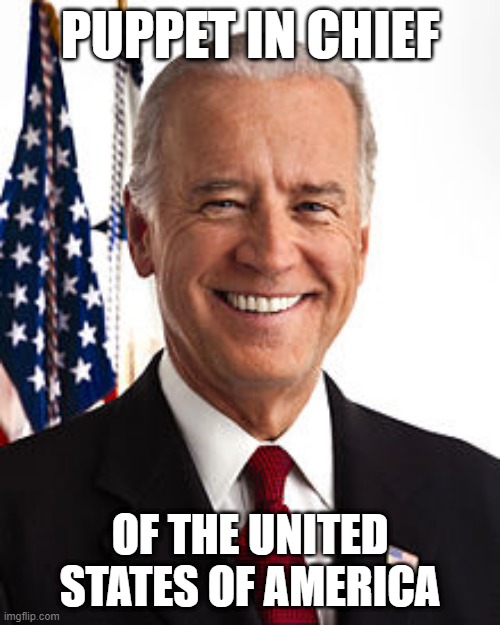 Joe Biden Meme | PUPPET IN CHIEF; OF THE UNITED STATES OF AMERICA | image tagged in memes,joe biden,president,puppet,biden | made w/ Imgflip meme maker