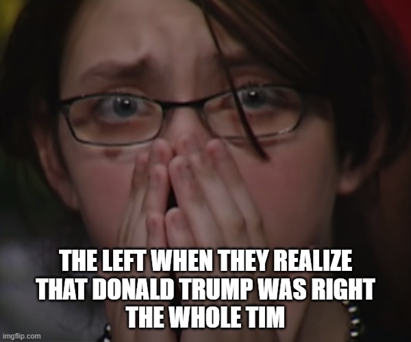 Donald Trump was right | THE LEFT WHEN THEY REALIZE
THAT DONALD TRUMP WAS RIGHT
THE WHOLE TIM | image tagged in donald trump | made w/ Imgflip meme maker