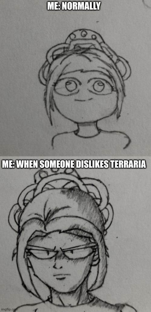 Credit to some sketches I saw on Reddit | ME: NORMALLY; ME: WHEN SOMEONE DISLIKES TERRARIA | image tagged in annoyed,memes,reddit | made w/ Imgflip meme maker