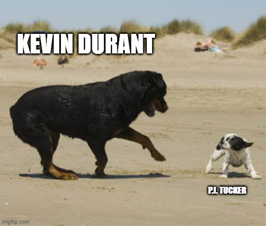 Kevin Durant vs. P.J. Tucker | KEVIN DURANT; P.J. TUCKER | image tagged in big dog vs little dog,nba,nba memes | made w/ Imgflip meme maker