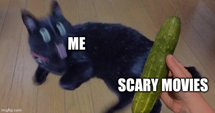Please use this template | ME; SCARY MOVIES | image tagged in cat | made w/ Imgflip meme maker