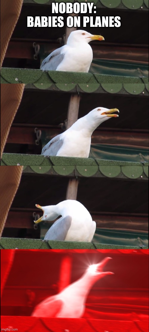 Inhaling Seagull | NOBODY:
BABIES ON PLANES | image tagged in memes,inhaling seagull | made w/ Imgflip meme maker