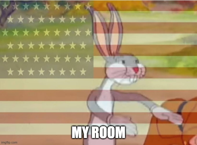 MY ROOM | image tagged in capitalist bugs bunny | made w/ Imgflip meme maker
