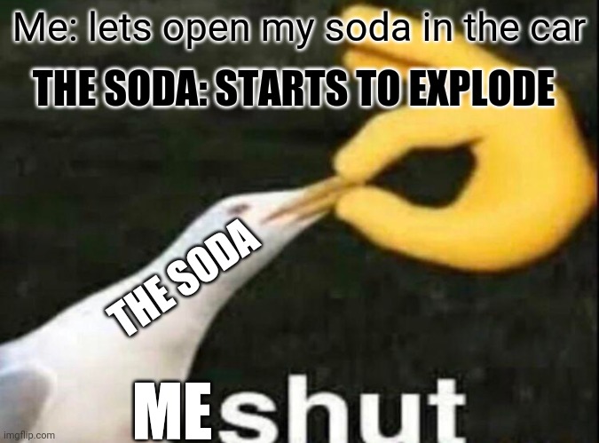 Almost every soda | THE SODA: STARTS TO EXPLODE; Me: lets open my soda in the car; THE SODA; ME | image tagged in shut,soda,canhappen | made w/ Imgflip meme maker