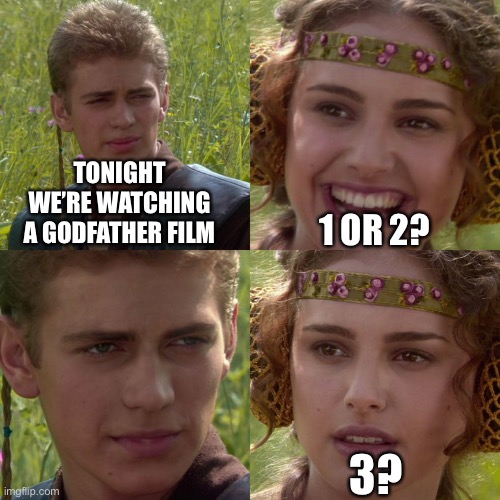 Movie night | TONIGHT WE’RE WATCHING A GODFATHER FILM; 1 OR 2? 3? | image tagged in anakin padme 4 panel | made w/ Imgflip meme maker