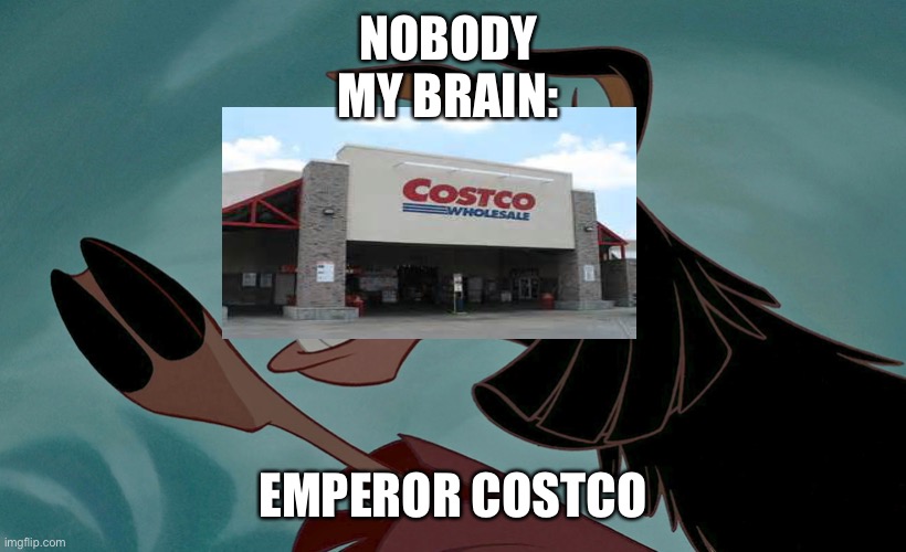 All hail Emperor Costco!! | NOBODY 
MY BRAIN:; EMPEROR COSTCO | image tagged in kuzco,costco | made w/ Imgflip meme maker