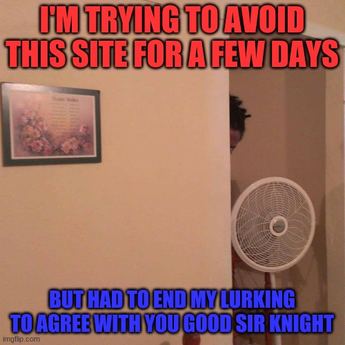 THE LURKER | I'M TRYING TO AVOID THIS SITE FOR A FEW DAYS BUT HAD TO END MY LURKING TO AGREE WITH YOU GOOD SIR KNIGHT | image tagged in the lurker | made w/ Imgflip meme maker