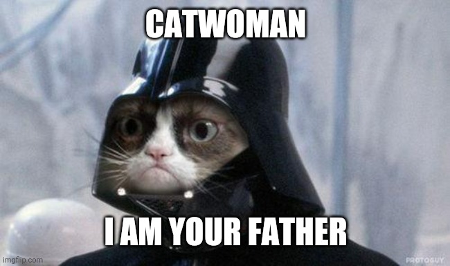 Grumpy Cat Star Wars | CATWOMAN; I AM YOUR FATHER | image tagged in memes,grumpy cat star wars,grumpy cat | made w/ Imgflip meme maker