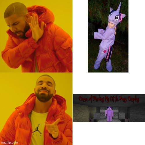 I don't wanna twilight sparkle costume | image tagged in drake hotline bling,cursed,twilight sparkle,my little pony,minecraft,costume | made w/ Imgflip meme maker