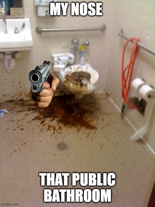 hoho |  MY NOSE; THAT PUBLIC BATHROOM | image tagged in girls poop too | made w/ Imgflip meme maker