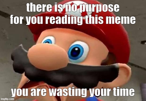 Mario WTF | there is no purpose for you reading this meme; you are wasting your time | image tagged in mario wtf | made w/ Imgflip meme maker