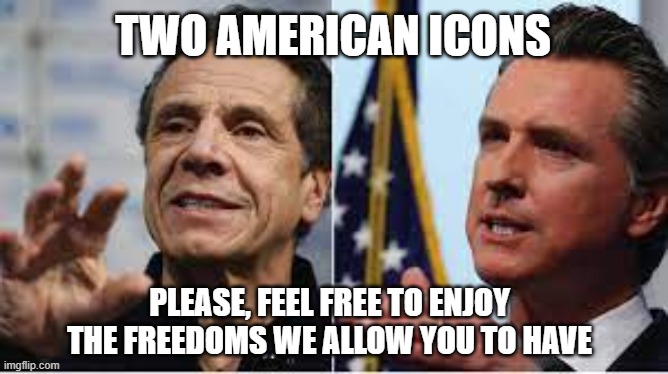 America | TWO AMERICAN ICONS; PLEASE, FEEL FREE TO ENJOY THE FREEDOMS WE ALLOW YOU TO HAVE | image tagged in freedom,restrictions,covid-19,masks,social distancing,memes | made w/ Imgflip meme maker