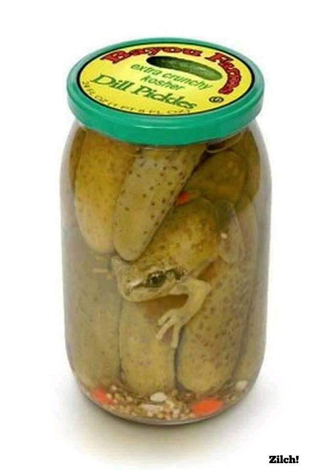 Pickled Frog Blank Meme Template