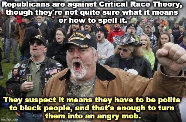 Pig-ignorant and proud of it. | Republicans are against Critical Race Theory, 
though they're not quite sure what it means 
or how to spell it. They suspect it means they have to be polite 
to black people, and that's enough to turn 
them into an angry mob. | image tagged in angry white mob rabble cohort crowd,white supremacists,ignorant,morons | made w/ Imgflip meme maker