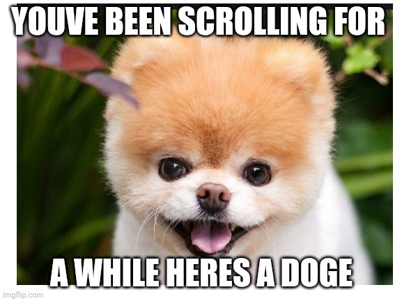 YOUVE BEEN SCROLLING FOR; A WHILE HERES A DOGE | made w/ Imgflip meme maker