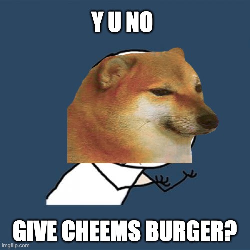 Apparently the cat CAN haz cheezburger? | Y U NO; GIVE CHEEMS BURGER? | image tagged in cats,dogs,treats,cheems,y u no,memes | made w/ Imgflip meme maker