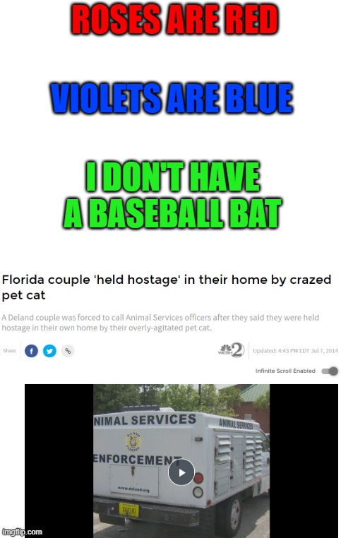 Wait what | ROSES ARE RED; VIOLETS ARE BLUE; I DON'T HAVE A BASEBALL BAT | image tagged in roses are red,roses are red violets are blue | made w/ Imgflip meme maker