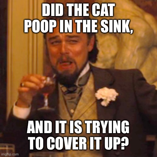 Laughing Leo Meme | DID THE CAT POOP IN THE SINK, AND IT IS TRYING TO COVER IT UP? | image tagged in memes,laughing leo | made w/ Imgflip meme maker