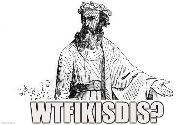 Ask Druid | WTFIKISDIS? | image tagged in druid,druid ask,druid question,guy,wonder | made w/ Imgflip meme maker
