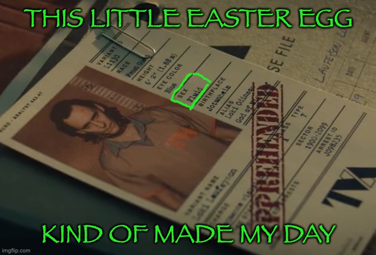 Geek moment | THIS LITTLE EASTER EGG; KIND OF MADE MY DAY | image tagged in loki file,mcu,gender fluid | made w/ Imgflip meme maker