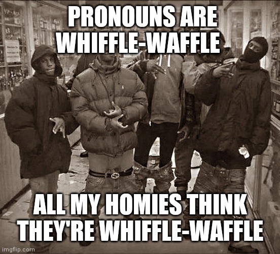 All My Homies Hate | PRONOUNS ARE WHIFFLE-WAFFLE; ALL MY HOMIES THINK THEY'RE WHIFFLE-WAFFLE | image tagged in all my homies hate | made w/ Imgflip meme maker