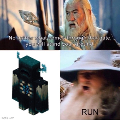 Beware of the warden. | image tagged in no matter what comes through that gate | made w/ Imgflip meme maker