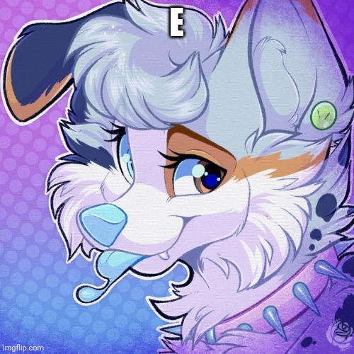 F u r r y | E | image tagged in f u r r y | made w/ Imgflip meme maker