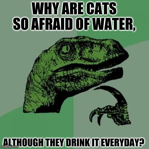 Philosoraptor | WHY ARE CATS SO AFRAID OF WATER, ALTHOUGH THEY DRINK IT EVERYDAY? | image tagged in memes,philosoraptor,cats and dogs | made w/ Imgflip meme maker