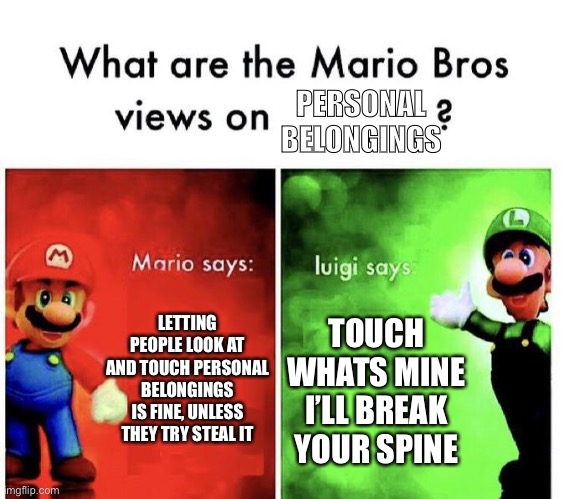 Mario & Luigi | PERSONAL BELONGINGS; LETTING PEOPLE LOOK AT AND TOUCH PERSONAL BELONGINGS IS FINE, UNLESS THEY TRY STEAL IT; TOUCH WHATS MINE I’LL BREAK YOUR SPINE | image tagged in mario bros views | made w/ Imgflip meme maker
