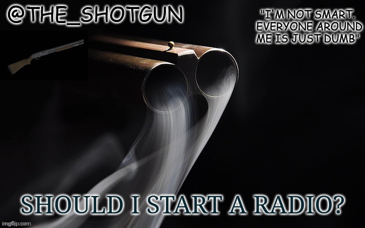 On a website | SHOULD I START A RADIO? | image tagged in yet another temp for shotgun | made w/ Imgflip meme maker