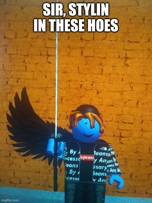 SIR, STYLIN IN THESE HOES | made w/ Imgflip meme maker