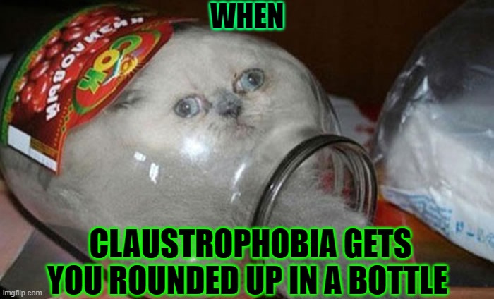 Bottled up meme | WHEN; CLAUSTROPHOBIA GETS YOU ROUNDED UP IN A BOTTLE | image tagged in bottled cat | made w/ Imgflip meme maker