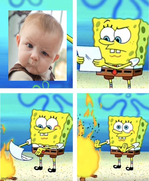 Why | image tagged in spongebob burning paper | made w/ Imgflip meme maker