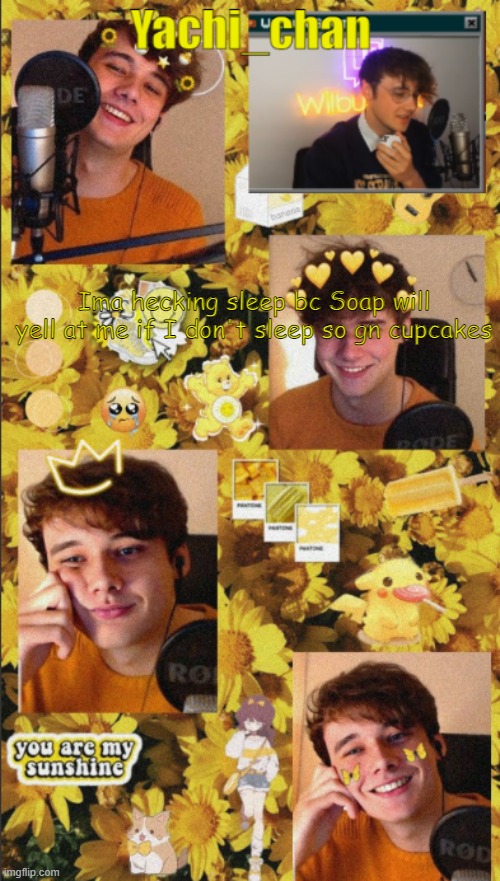 Yachi's wilbur temp <3 | Ima hecking sleep bc Soap will yell at me if I don't sleep so gn cupcakes | image tagged in yachi's wilbur temp 3 | made w/ Imgflip meme maker