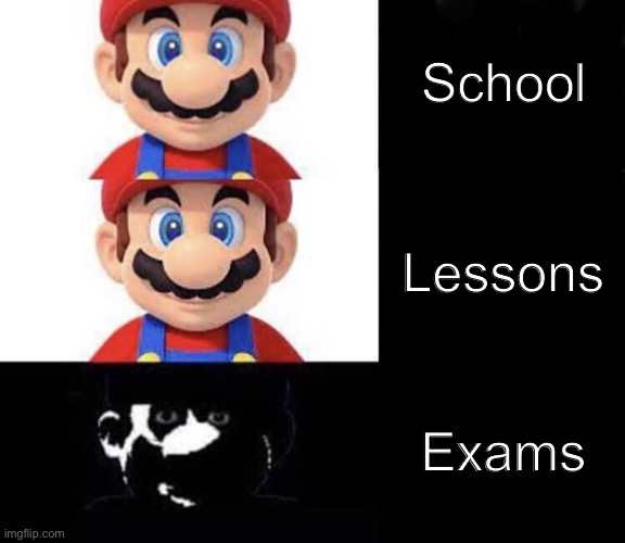 Mario dark three panel | School; Lessons; Exams | image tagged in mario dark three panel,school | made w/ Imgflip meme maker