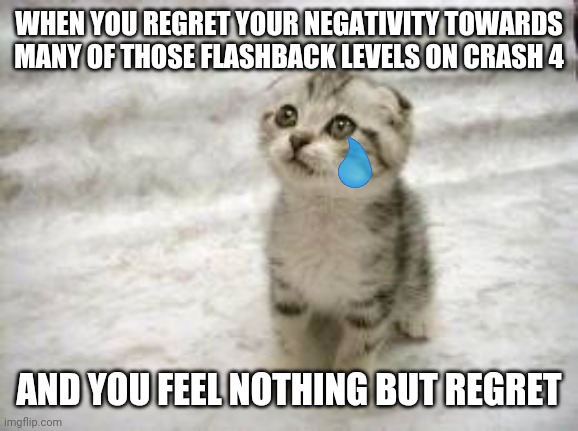 And that's why you shouldn't be so negative towards those hard game levels | WHEN YOU REGRET YOUR NEGATIVITY TOWARDS MANY OF THOSE FLASHBACK LEVELS ON CRASH 4; AND YOU FEEL NOTHING BUT REGRET | image tagged in memes,sad cat,gaming,crash bandicoot,relatable,video games | made w/ Imgflip meme maker