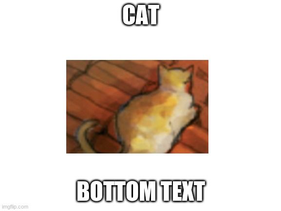 Blank White Template |  CAT; BOTTOM TEXT | image tagged in blank white template | made w/ Imgflip meme maker