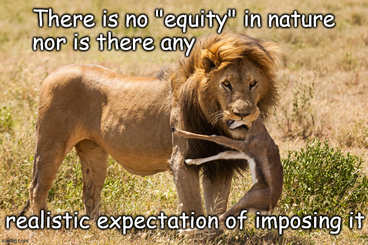 There is no equity in nature | There is no "equity" in nature
nor is there any; realistic expectation of imposing it | made w/ Imgflip meme maker