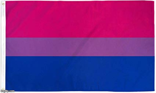 Bisexual Flag | image tagged in bisexual flag | made w/ Imgflip meme maker