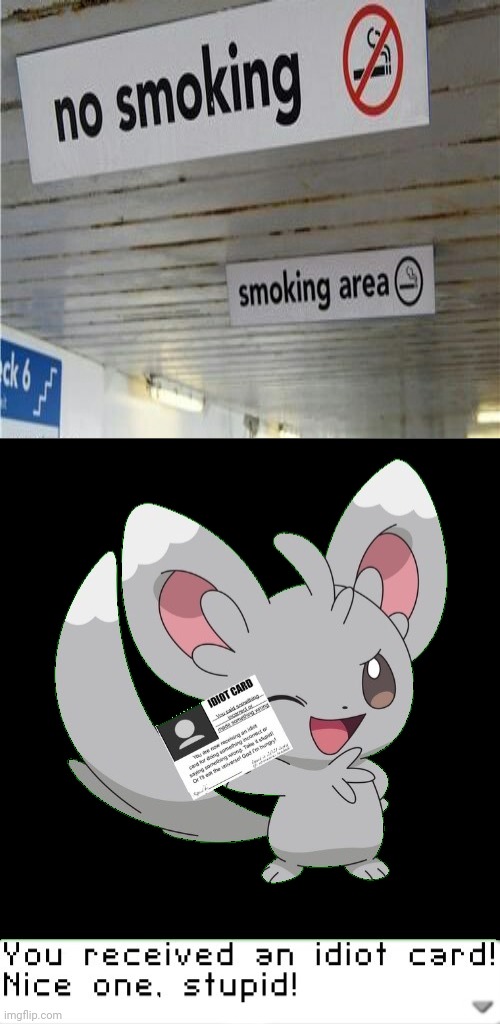 No smoking & smoking area signs simultaneously | image tagged in you received an idiot card,you had one job,memes,funny,no smoking,you had one job just the one | made w/ Imgflip meme maker